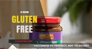 Is Hoisin Sauce Gluten-Free? A Complete Guide for Celiac Diets