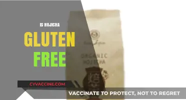 Is Hojicha Gluten-Free? A Comprehensive Guide to This Roasted Tea
