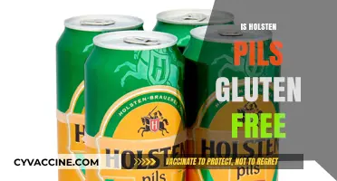 Is Holsten Pils Gluten-Free? A Detailed Look at the Beer
