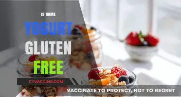 Is Homemade Yogurt Gluten-Free? A Clear and Simple Answer