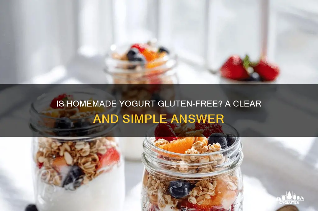 is home yogurt gluten free