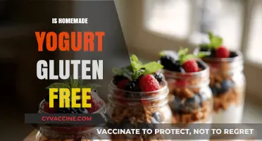 Is Homemade Yogurt Gluten-Free? A Clear and Simple Answer