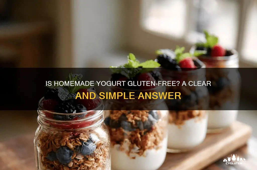 is homemade yogurt gluten free