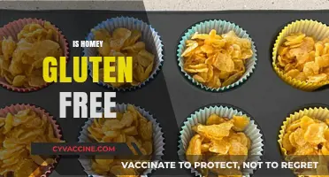 Is Homey Gluten-Free? Exploring Ingredients and Dietary Options