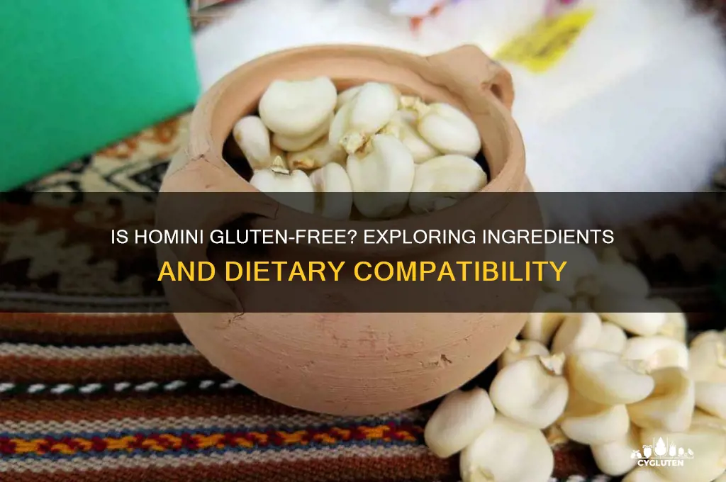 is homini gluten free