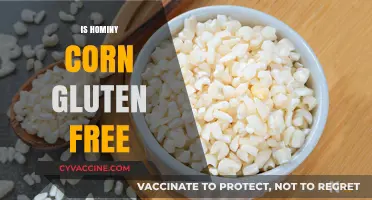Is Hominy Corn Gluten Free? A Clear Answer for Celiacs