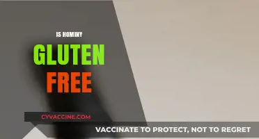 Is Hominy Gluten-Free? A Complete Guide to This Ancient Grain