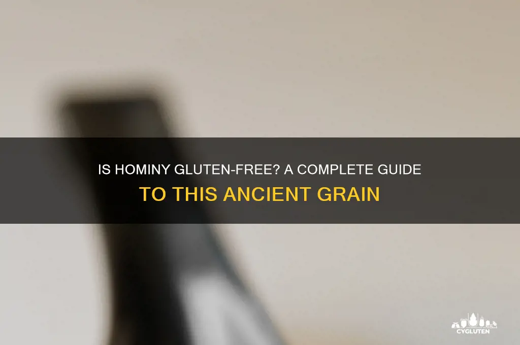 is hominy gluten free