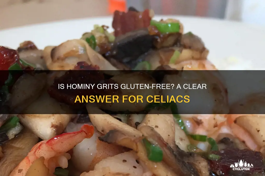 is hominy grits gluten free