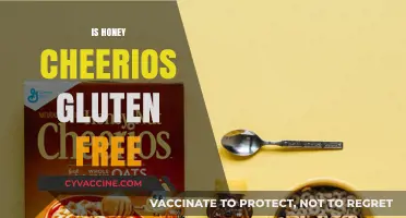 Is Honey Nut Cheerios Gluten-Free? A Complete Guide