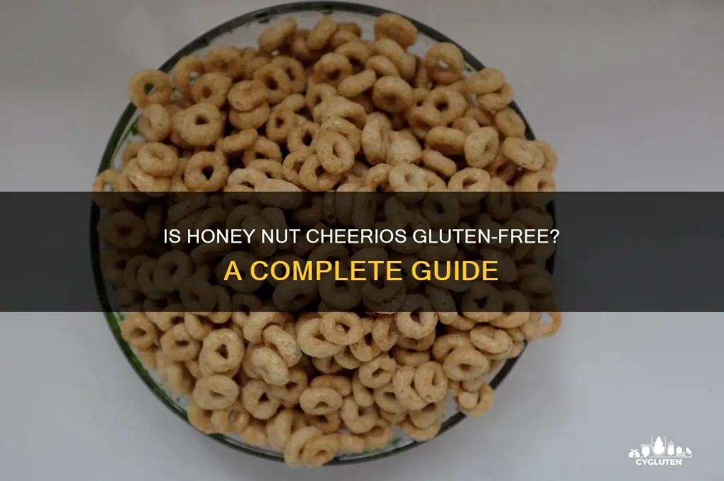 is honey cheerios gluten free