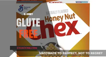 Is Honey Gluten-Free? A Sweet Guide to Safe Eating
