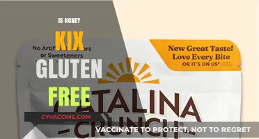 Is Honey Kix Gluten-Free? A Comprehensive Guide to Your Breakfast Choice