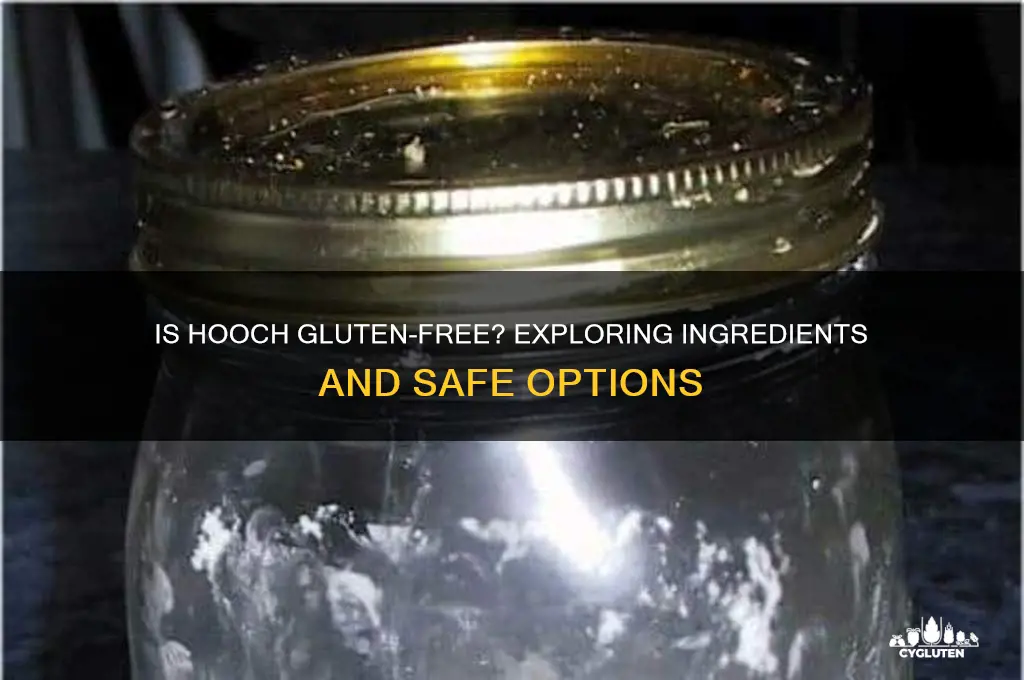 is hooch gluten free