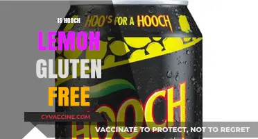 Is Hooch Lemon Gluten-Free? A Detailed Beverage Analysis