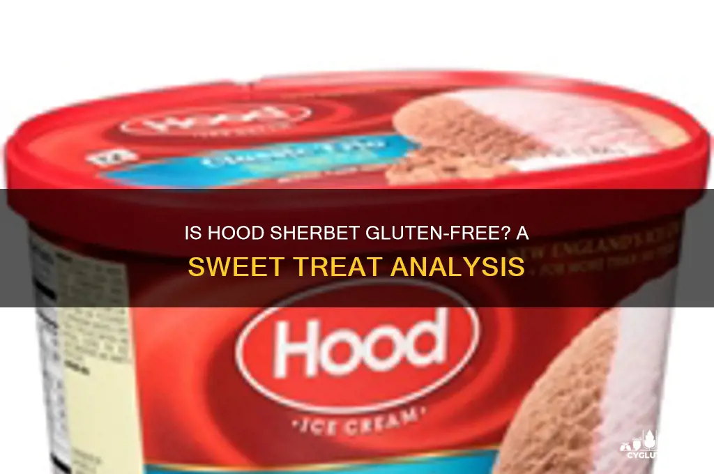 is hood sherbet gluten free