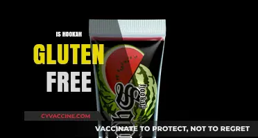 Is Hookah Gluten-Free? Exploring Ingredients and Health Considerations