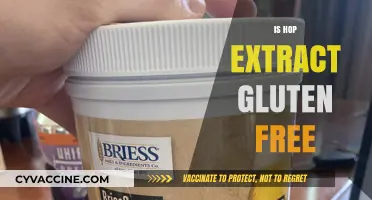 Is Hop Extract Gluten Free? A Comprehensive Guide for Beer Lovers