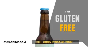 Is Hop Gluten-Free? Unraveling the Truth for Beer Lovers