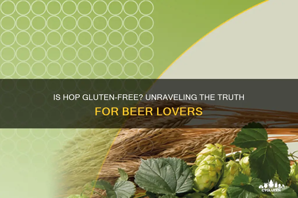is hop gluten free