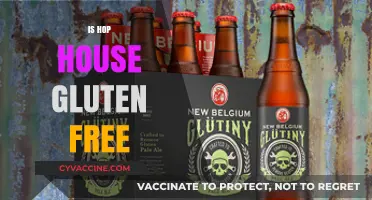 Is Hop House Gluten-Free? Uncovering the Truth for Beer Lovers