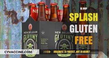 Is Hop Splash Gluten-Free? A Complete Guide for Beer Lovers