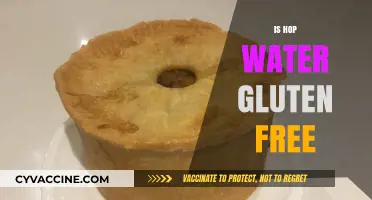 Is Hop Water Gluten-Free? Unveiling the Truth for Celiac Drinkers