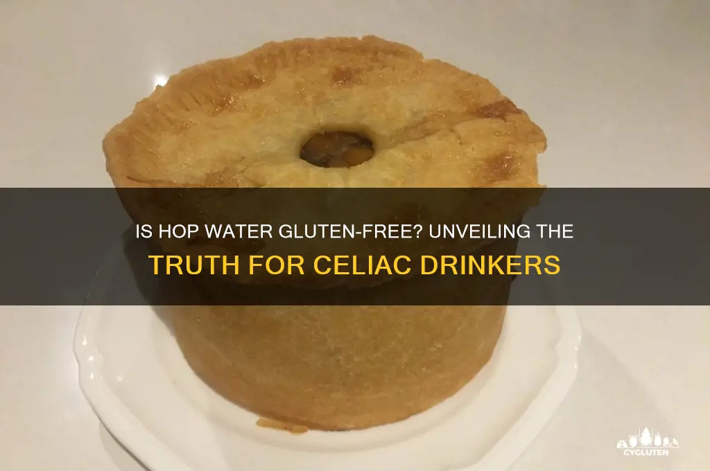 is hop water gluten free