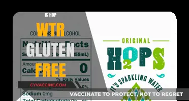Is Hop Wtr Gluten-Free? Uncovering the Truth for Beer Lovers