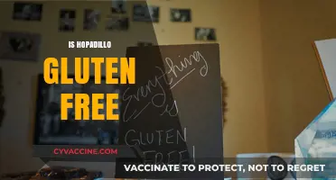 Is Hopadillo Gluten-Free? A Complete Guide to This Popular Snack