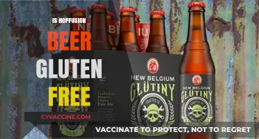 Is HopFusion Beer Gluten-Free? A Detailed Guide for Beer Lovers