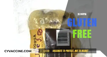 Is Hopia Gluten-Free? Discover the Truth About This Sweet Treat