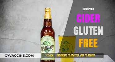 Is Hopped Cider Gluten-Free? A Complete Guide for Cider Lovers