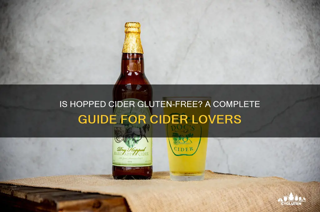 is hopped cider gluten free
