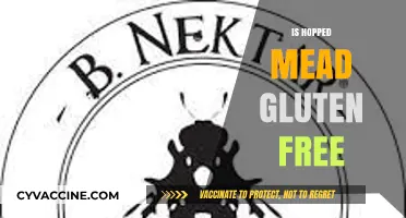 Is Hopped Mead Gluten Free? A Guide for Celiac Drinkers