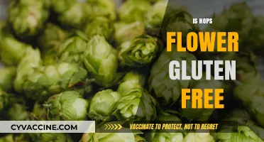 Are Hops Flowers Gluten-Free? Unraveling the Beer Ingredient Mystery