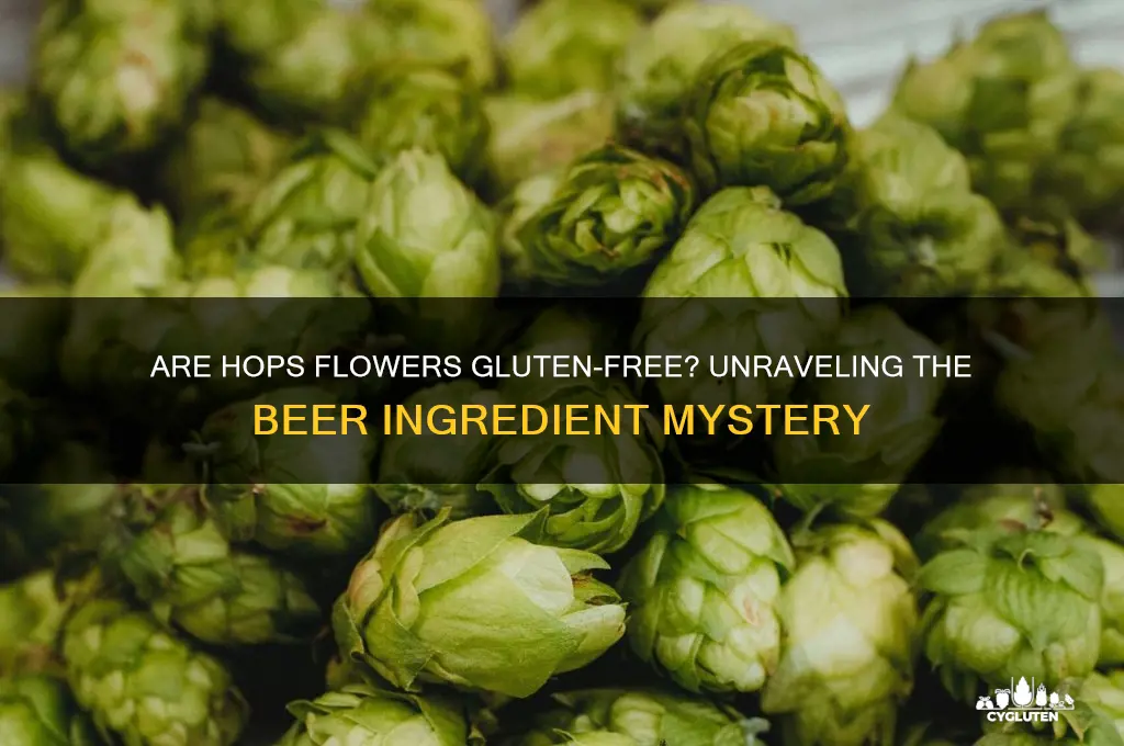 is hops flower gluten free