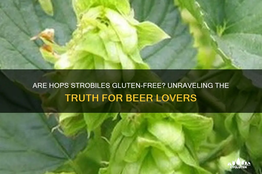 is hops strobile gluten free