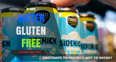 Is Hops Water Gluten-Free? Unraveling the Facts for Health-Conscious Drinkers