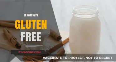 Is Horchata Gluten-Free? A Complete Guide to This Rice Drink