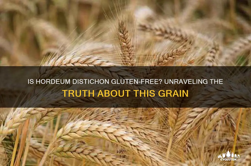 is hordeum distichon gluten free