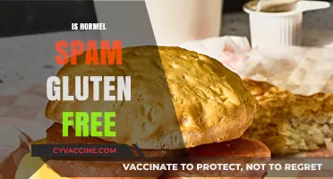 Is Hormel Spam Gluten-Free? A Comprehensive Guide for Celiac Diets