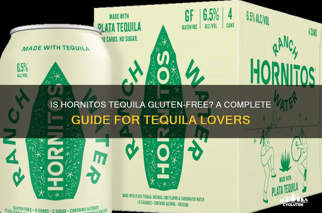 is hornitos tequila gluten free