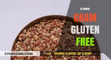Is Horse Gram Gluten-Free? A Complete Guide to Its Safety