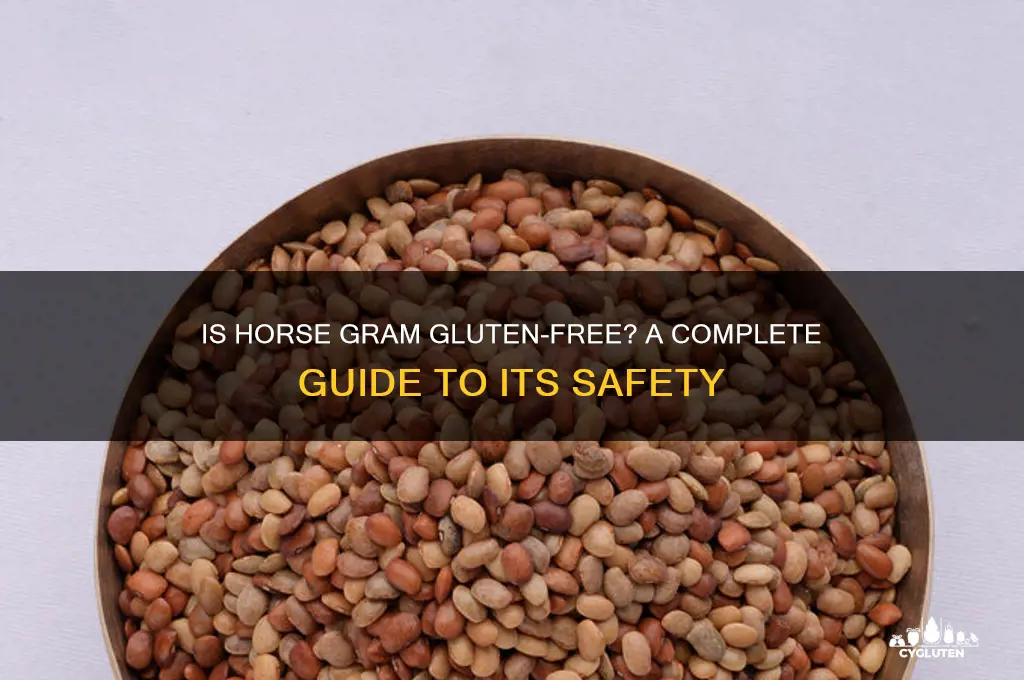 is horse gram gluten free