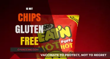 Are Hot Chips Gluten-Free? A Crunchy Snack Fact Check