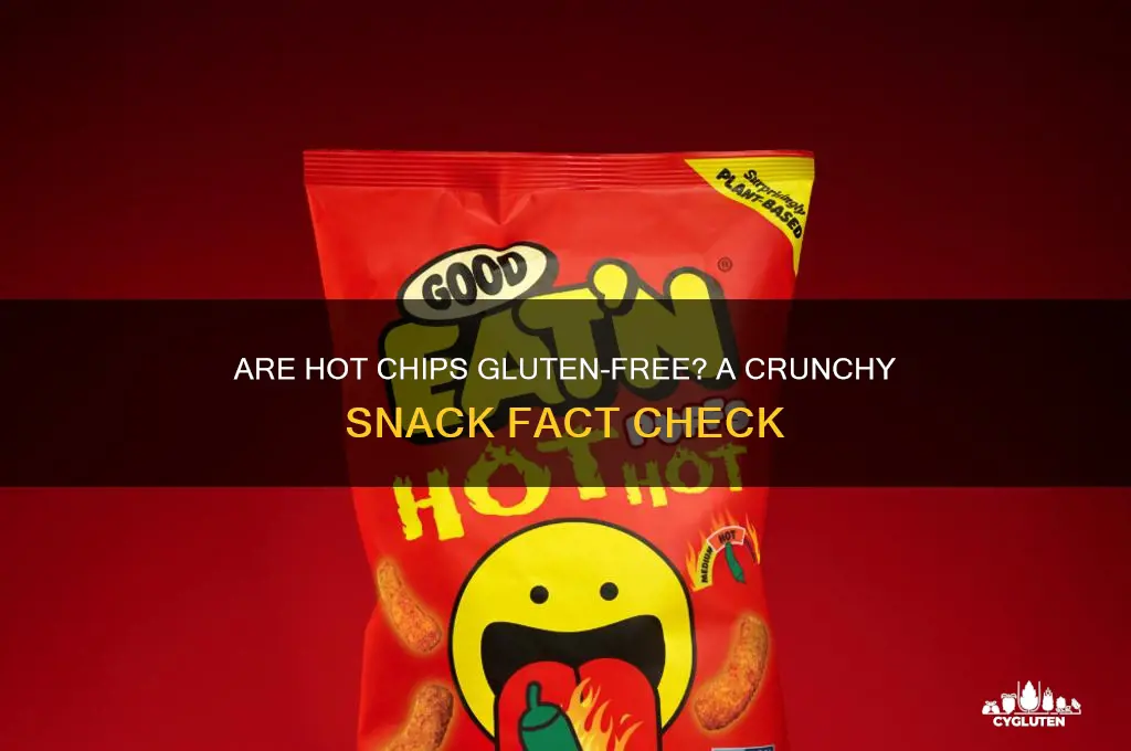 is hot chips gluten free