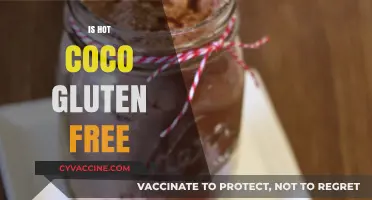Is Hot Cocoa Gluten-Free? A Guide to Safe Sipping