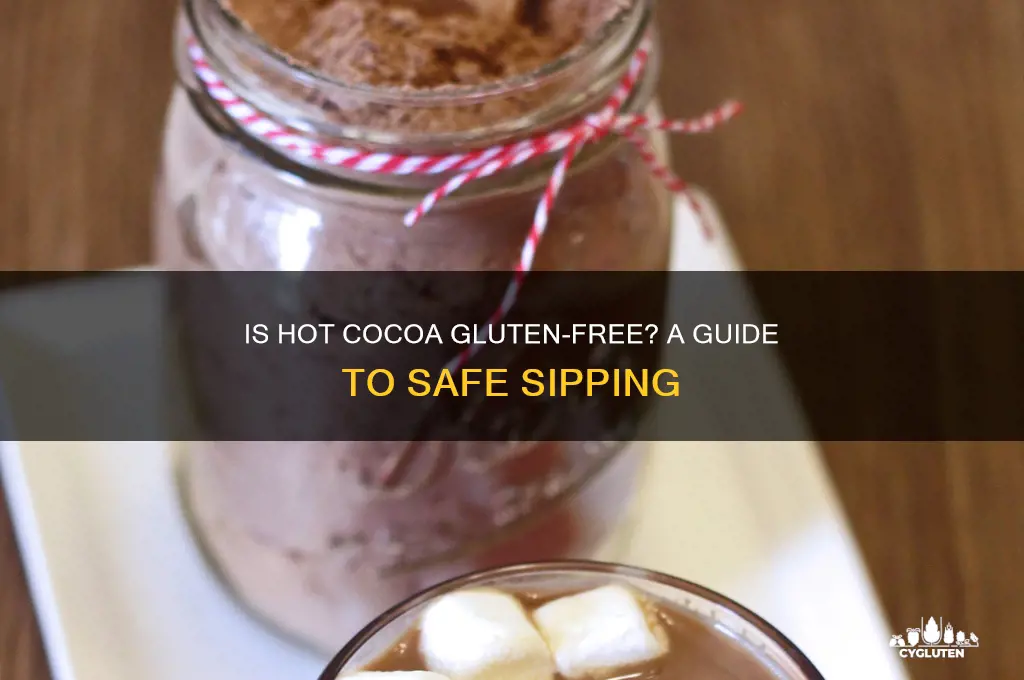 is hot coco gluten free