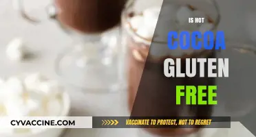 Is Hot Cocoa Gluten-Free? A Cozy Drink Guide for Celiacs